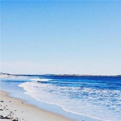 b体育在线登陆素描版