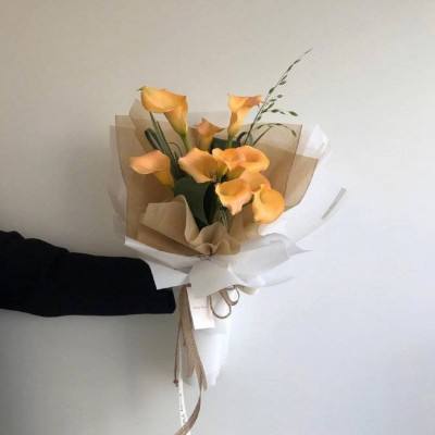 凤凰彩票welcome下载手机版