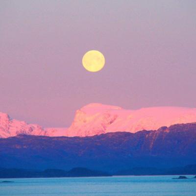 leyu·乐鱼(中国)体育app下载