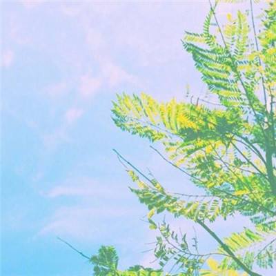 开玩棋牌手机app下载