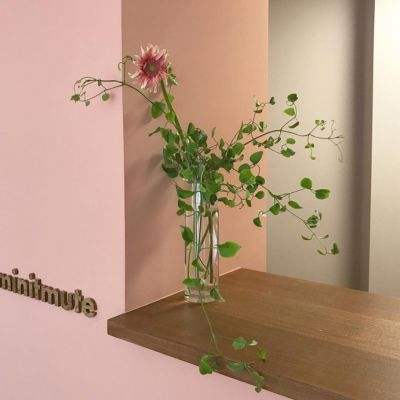 皇冠官网app下载安装