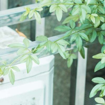 单机的打鱼游戏手机app下载截图