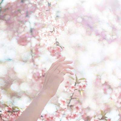 Bsport体育在线官网