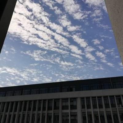 NG体育APP官方下载网址下载手机版